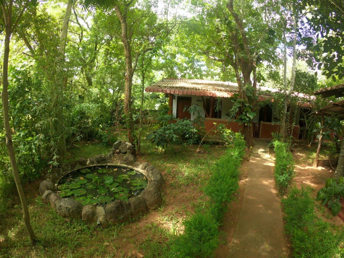 New Sisira Natural Lodge Sigiriya Esterno foto